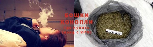 гидра Верея