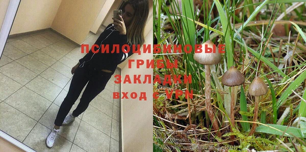 гашик Бугульма