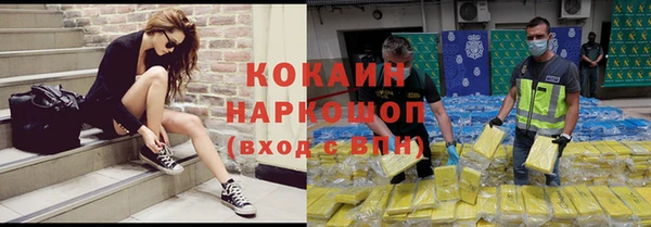 гидра Верея