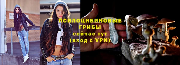 гидра Верея