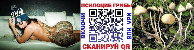 площадка состав Мончегорск Псилоцибиновые грибы Cubensis KRAKEN сайт