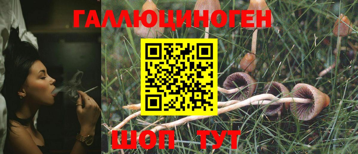 Мончегорск  Псилоцибиновые грибы прущие грибы  Вход с VPN  Галлюциногенные грибы GOLDEN TEACHER 