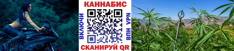 цена наркотик  Мончегорск  МАРИХУАНА сатива 